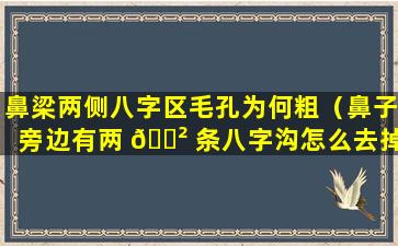 鼻梁两侧八字区毛孔为何粗（鼻子旁边有两 🌲 条八字沟怎么去掉）